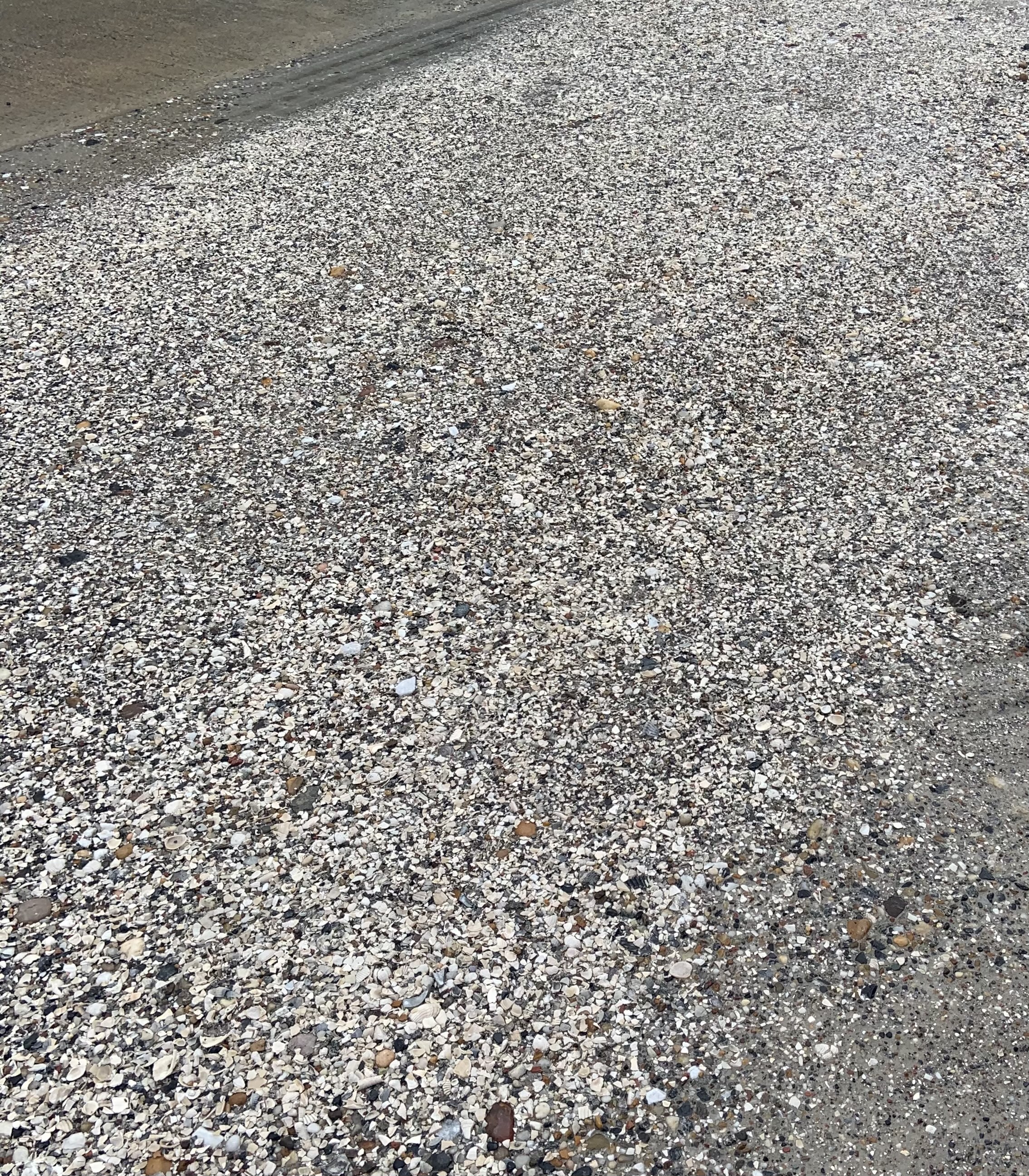 Low Country Shell Mix     (good for pathways, patio area, driveways. Not good for landscape beds)